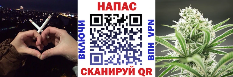 Конопля Ganja  Чадан 